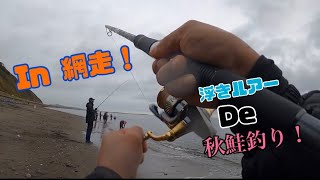 【秋鮭・浮きルアー】網走のサーフで秋鮭釣り！雨に打たれながら朝からニヤけてる動画