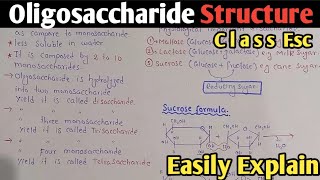 Oligosaccharide Structure And Classification | Disaccharide | Sucrose | Maltose | Class 11