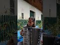 pod lanžhotským mostem accordeon akordeon