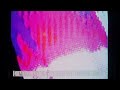 m.a.g.s. sequence 04 visualizer