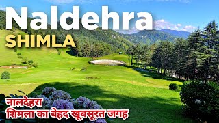 Naldehra Shimla | Naldehra Shimla Tourist Places | Shimla Himachal Pradesh #shimlahillstation