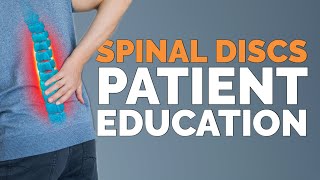 Chiropractic Patient Education: Spinal Discs | 9+ Hours of Reception Area Streaming