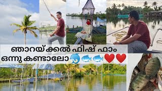 എറണാകുളത്ത് കണ്ടിരിക്കേണ്ട ഒരു അടിപൊളി സ്ഥലം/Njarackal Fish Farm/Narakkal Acqua Food Boating Fishing