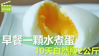 早餐一顆水煮蛋，10天自然瘦2公斤 (電鍋水煮蛋)【早安健康】