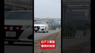 白アス覆面パトカー 惚れるV6エンジンサウンド🚨