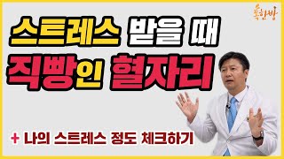 [부산일보 톡한방]나의 스트레스 정도는? 화(火)병 진단하는 혈자리/지압법