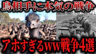 【ゆっくり解説歴史】アホすぎる理由で起きた戦争4選