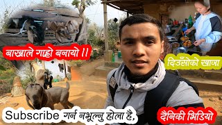 Daily Vlog || Buda Budi Lai Dukha Xa Baa || Mt 15 #couplegoals || Gaunle Vlog