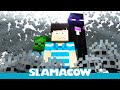 Silverfish Encounter - Minecraft Animation - Slamacow