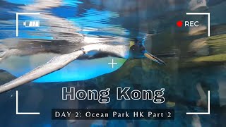 Hong Kong Day 2: Ocean Park HK Part 2 | November 6, 2024