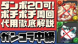 【ピィ集め】上級もサレーネ1体入れれば対応可能‼︎ガンホーコラボダンジョン3中級のポチポチ周回編成を紹介。編成難易度は抑えめです。（ガンコラ、周回、ダンボ）【パズドラ】