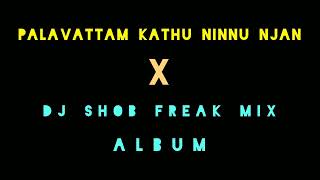 Palavattam Kathu Ninnu Njan Remix | DJ ShobFreakMix