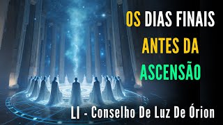 🔴LI - Conselho De Luz De Órion  |  \