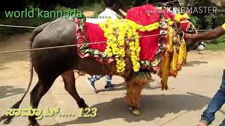 Kittadahalli samrat 123 bull race..