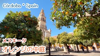 【スペイン街歩き】オレンジあふれる中庭・メスキータ - Patio de los Naranjos de la Mezquita Catedral ‐ Córdoba, Spain-