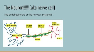 AP Psychology Myers Module 9 Review