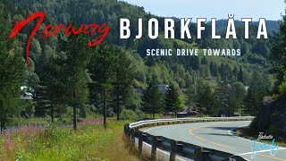 Route 40 Telemark Region Road Trip | Norway| Relaxing Music \u0026 Drive | Fantastic Fjords- EP6/S01