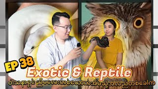 EP38: Exotic & Reptileဝါသနာရှင် ညီမလေးတစ်ယောက်ရဲ့ အိမ်သို့အလည်တစ်ခေါက်