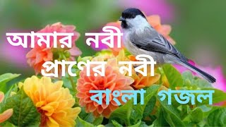 Amar Nabi Praner Nabi gajol( আমার নবী প্রাণের নবী ) | Bangla Gojol | #Islamic_Media\u0026Ak4 New Ghazal