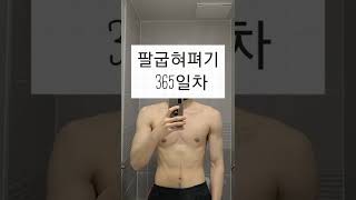 Day-365 1년동안 팔굽혀펴기를 해보았다