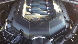 1109 Ford Mustang GT 5.0 Coyote 420hp and 6 speed manual trans startup and run video 73k