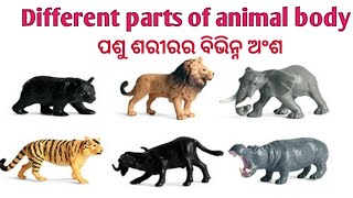 Animal body parts name || ପଶୁ ଶରୀରର ବିଭିନ୍ନ ଅଂଶ || @Tech English \u0026 Odia