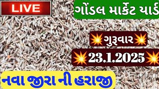 ગોંડલ માર્કેટિંગ યાર્ડ ના બજાર ભાવ / જીરા ના બજાર ભાવ / જીરુંના ભાવ બજાર / 23.1.2023