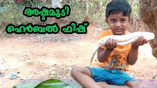 village boys cooking/Ashtamudi herbal fish/#waterman#cooking