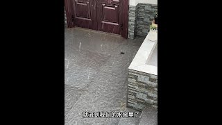 暴雨来的太猛了，我们家雨水口都快喝撑了，一会儿水窖就满了#瓢泼大雨 #乡村生活家