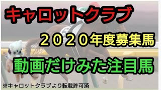 キャロットクラブ２０２０年度募集馬(動画だけみた注目馬)