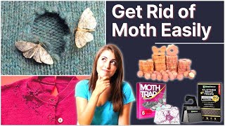 Best Moth Repellent For Clothes (Protect Your Expensive Clothes Easily) - Top Repellents