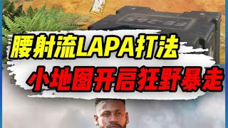 【使命召唤手游】新冲锋枪LAPA最强打法，小地图开启狂野腰射 #小极地游戏解说