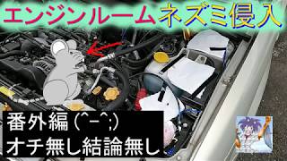 エンジンルームにネズミが侵入！？ネズミ排除に猫が有効か？自己流のネズミ排除対策、番外編