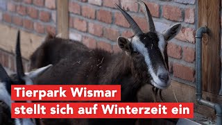 Wirtschaftsfenster M-V: Tierpark Wismar zieht positive Jahresbilanz