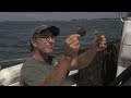 mark u0026 rory s digital learning podcast on peconic bay scallops