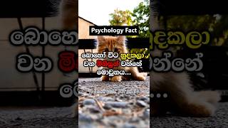 ඔයා තනිවෙලා තියෙන්නේ මේ නිසා🥺💔#psychologyfacts #shorts