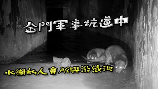 金門水獺的私人會所與游泳池| 金門野生歐亞水獺生態