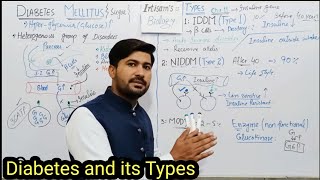 22.17 Diabetes mellitus, Types of diabetes, type1 IDDM and type 2 NIDDM | Fsc 12 class Biology