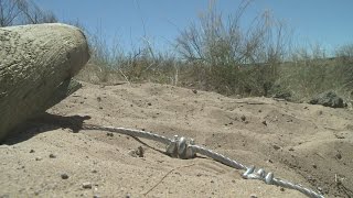 Vandals destroy part of Petroglyph trail