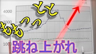 地団駄を踏んで張り手打ち!!本日も頑張りましょう！／きゅうり農家／きゅうり栽培／愉快なshata農園