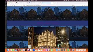 WEEK 8 - CSS Coding Assignment