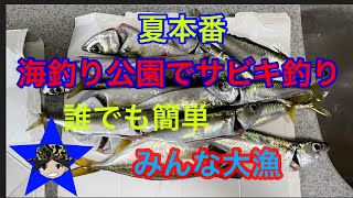 海釣り公園でサビキ釣り