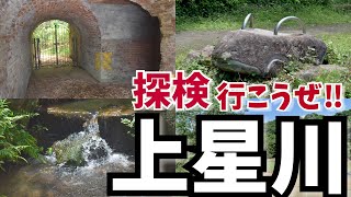 相鉄線上星川駅往復さんぽ！ たちばなの丘公園•市沢市民の森