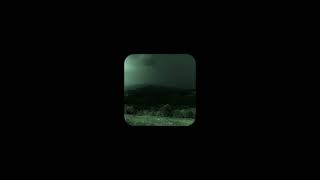 Alex g (the skin cells) - space beetles