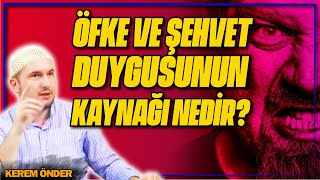 Öfke ve şehvet duygusunun kaynağı nedir? / Kerem Önder