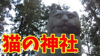 猫の神社！ 南部神社 別名猫又権現 新潟県長岡市 狛猫