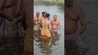 Kalpathi Radholsavam Aarattu