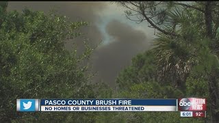 Pasco County brush fire