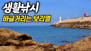 생활낚시하기 좋은 해수욕장 근처 선착장. 차박낚시하러 갑니다