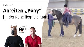 [42] Anreiten (Teil1) | 3j. Pony Hengst | in der Ruhe liegt die Kraft